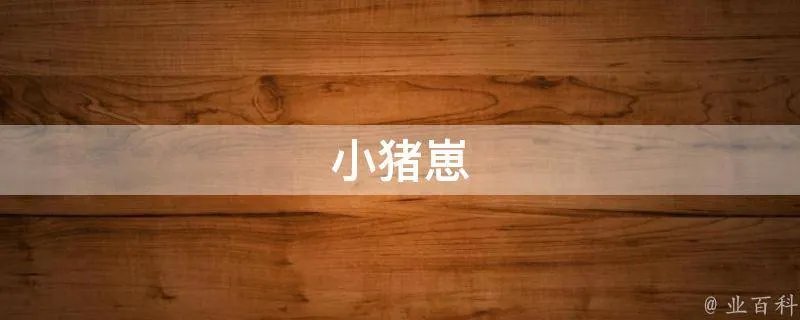 小猪崽