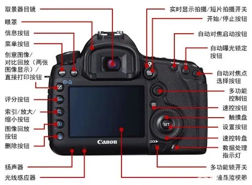 热门佳能单反相机排行榜 网友质疑:佳能入门单反应该选哪款