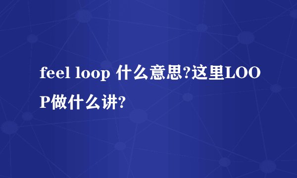 feel loop 什么意思?这里LOOP做什么讲?