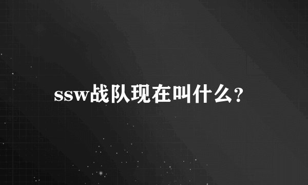 ssw战队现在叫什么？