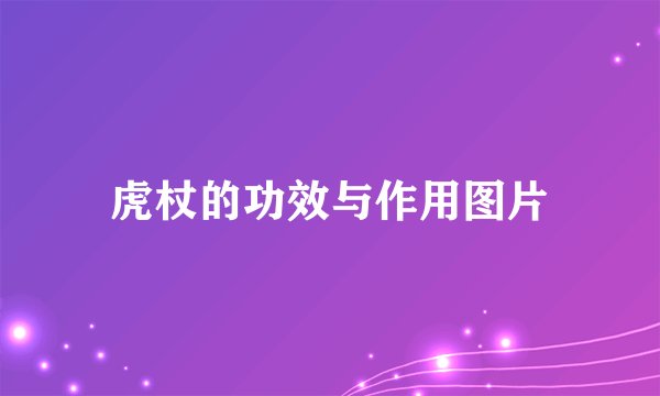 虎杖的功效与作用图片