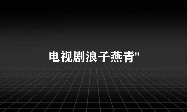 电视剧浪子燕青