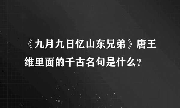 《九月九日忆山东兄弟》唐王维里面的千古名句是什么?