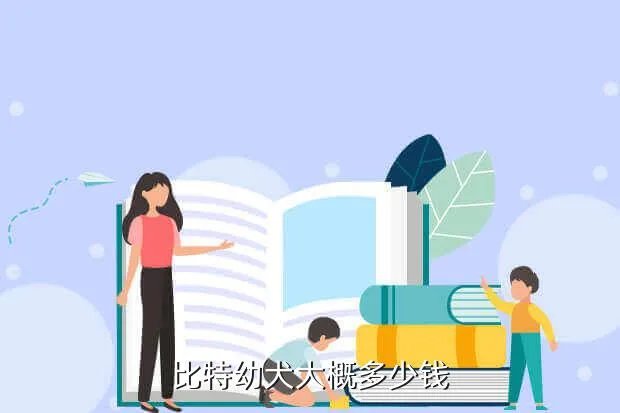 比特斗牛犬多少钱一只,法国斗牛犬大概多少钱一只