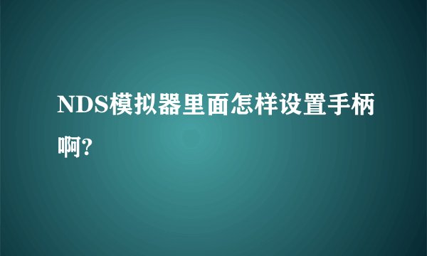 NDS模拟器里面怎样设置手柄啊?