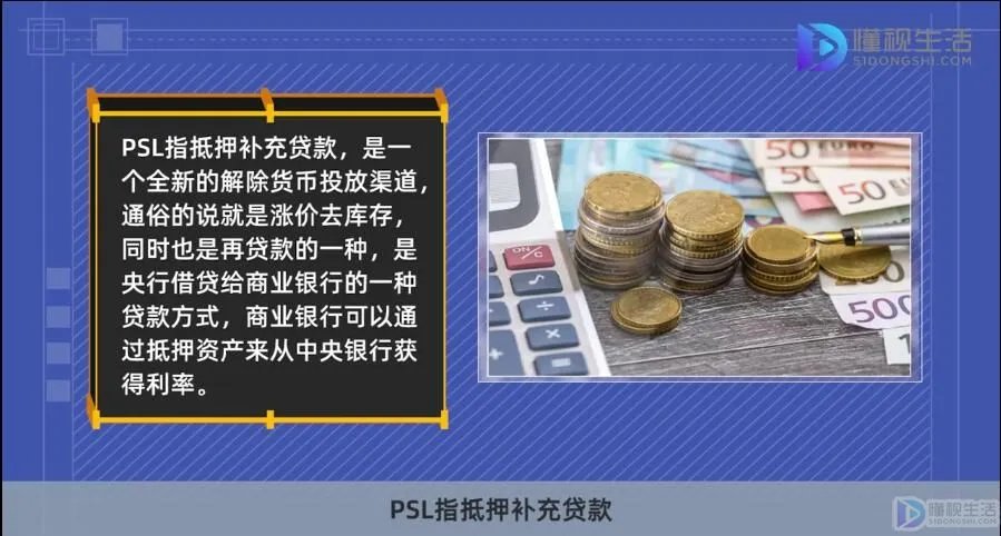 psl是什么意思