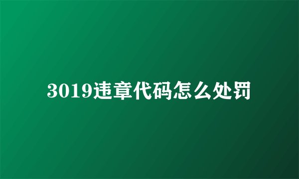 3019违章代码怎么处罚