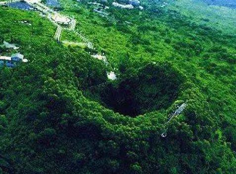 火山口国家森林公园的公园特点