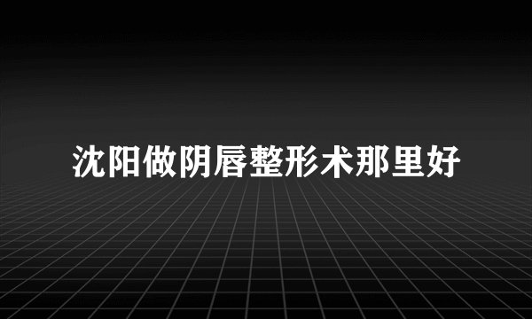 沈阳做阴唇整形术那里好