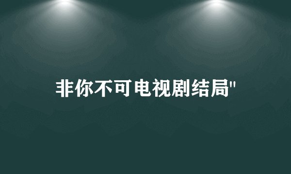 非你不可电视剧结局