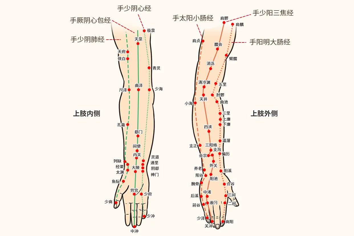 手上六条经络图片
