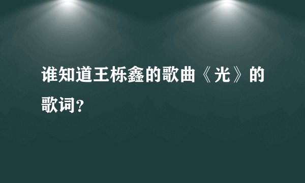 谁知道王栎鑫的歌曲《光》的歌词?