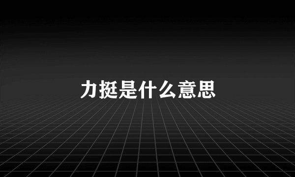 力挺是什么意思