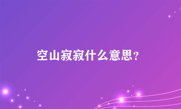 空山寂寂什么意思？