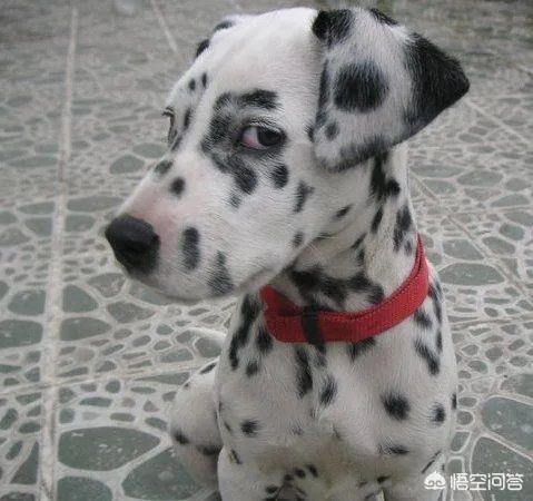 大家分享一下最搞笑的头像图片？