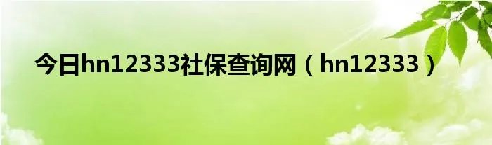 今日hn12333社保查询网（hn12333）