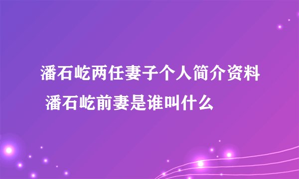 潘石屹两任妻子个人简介资料 潘石屹前妻是谁叫什么