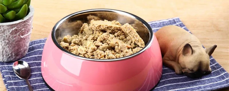 狗狗食欲不振 狗狗食欲不好要注意些什么