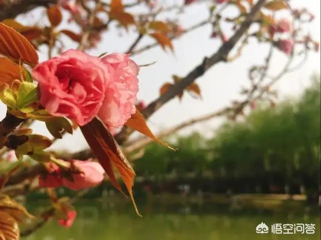 荥阳都有什么好玩的地方?