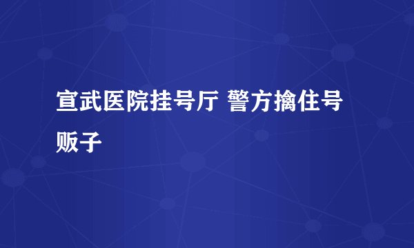 宣武医院挂号厅 警方擒住号贩子