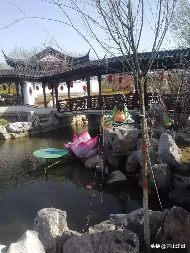 唐山是哪个省的？
