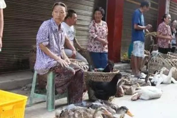 南阳各乡镇赶集时间