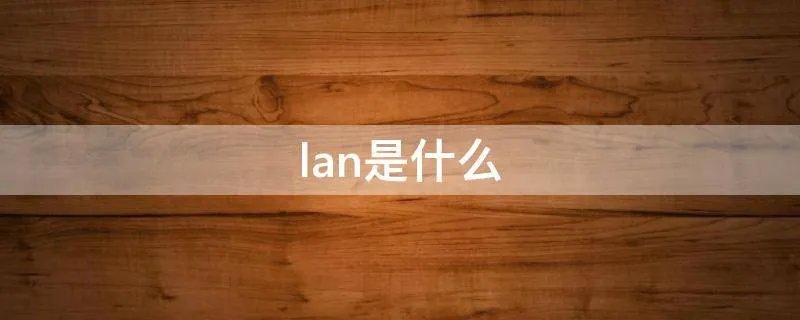lan是什么