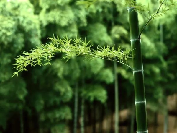 适合夏天使用的护肤品？？