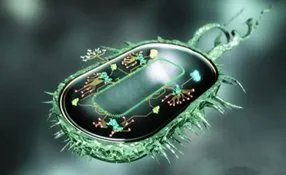 研究生读古生物学是怎样一种体验?