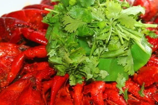 沃尔玛超市面包上蟑螂活蹦乱跳,食品安全如何保障?