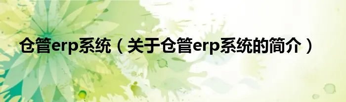 仓管erp系统（关于仓管erp系统的简介）