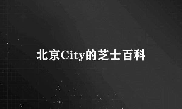北京City的芝士百科