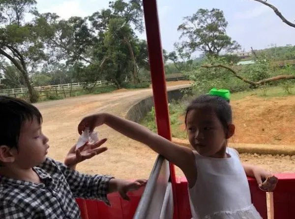 汪小菲儿子真的“惨”,负责烤肉给姐姐吃,连出镜的机会都没有,为什么?