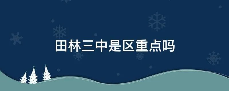 田林三中是区重点吗
