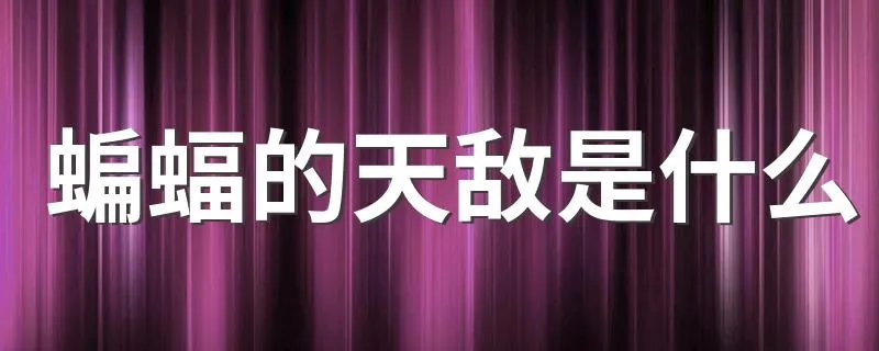 蝙蝠的天敌是什么 蝙蝠有什么含义