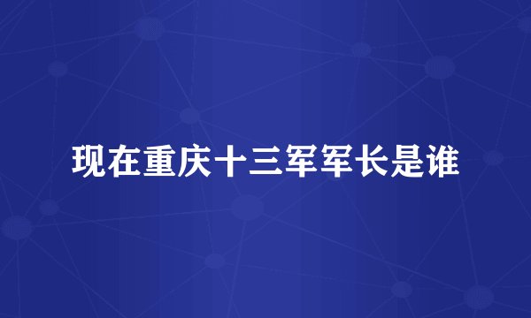 现在重庆十三军军长是谁