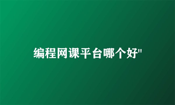 编程网课平台哪个好