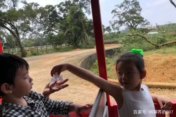 汪小菲儿子真的“惨”,负责烤肉给姐姐吃,连出镜的机会都没有,为什么?
