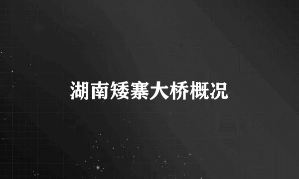 湖南矮寨大桥概况
