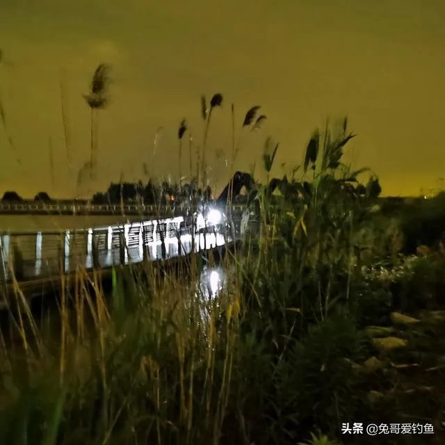 上海钓鱼为什么那么难？
