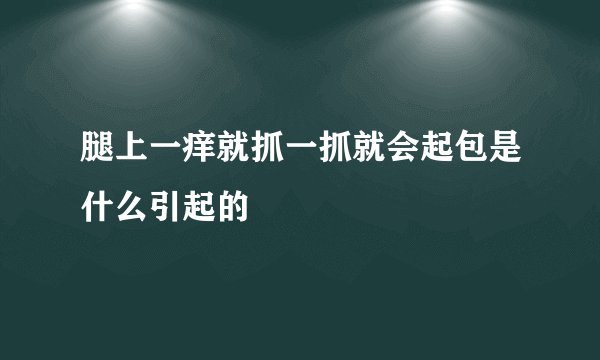 腿上一痒就抓一抓就会起包是什么引起的