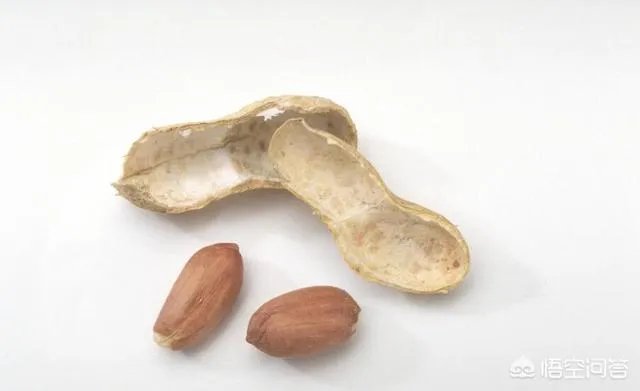 家庭养花自制花肥的办法有哪些?