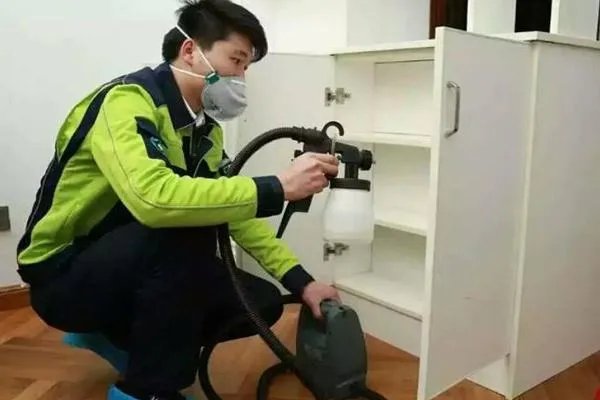 除甲醛十大品牌都是哪些?
