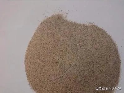 长期保存菌种的方法?