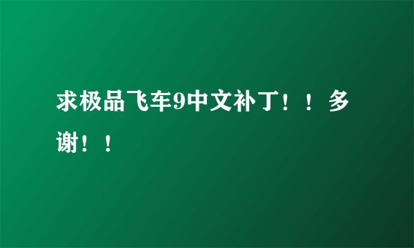 求极品飞车9中文补丁！！多谢！！