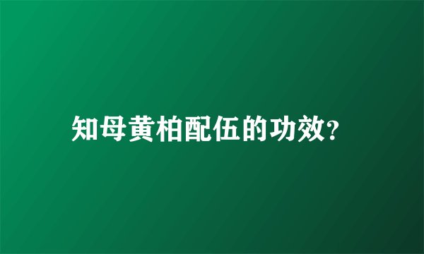 知母黄柏配伍的功效？