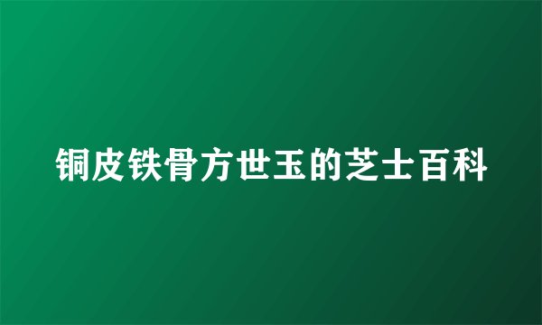 铜皮铁骨方世玉的芝士百科