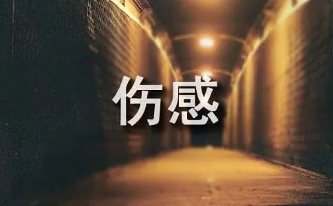 伤感的诗句
