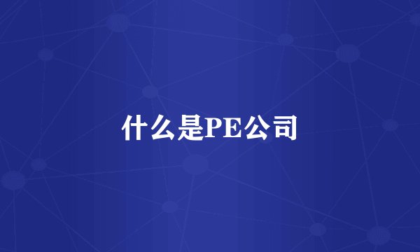 什么是PE公司
