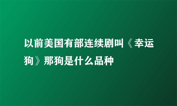 以前美国有部连续剧叫《幸运狗》那狗是什么品种